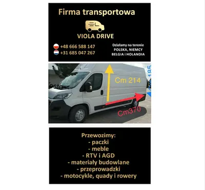 Viola Drive Dominik Kawalec